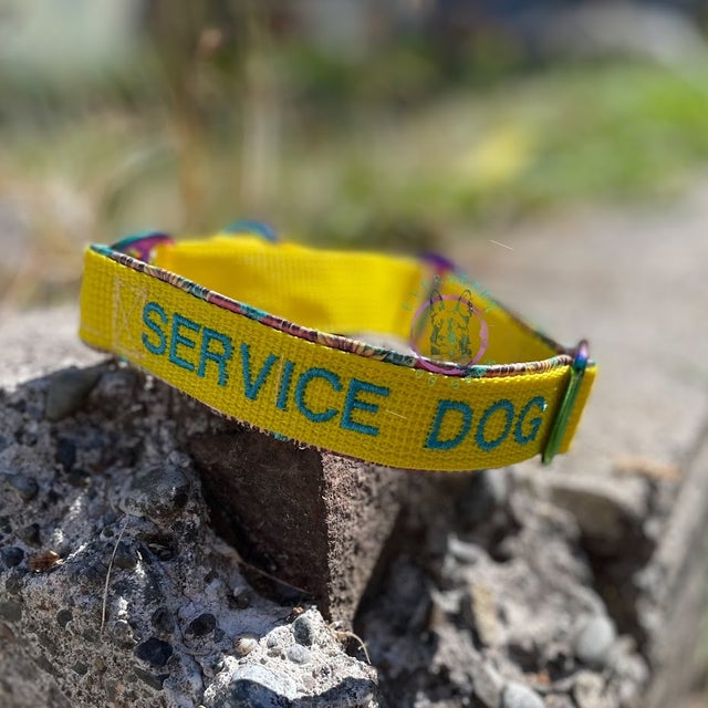 Embroidered martingale collar discount